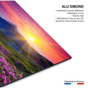 Tableau champ de fleurs Tableau alu Dibond