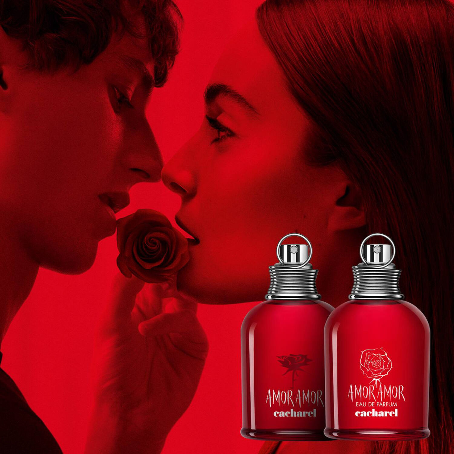 Amor Amor - Eau de Parfum