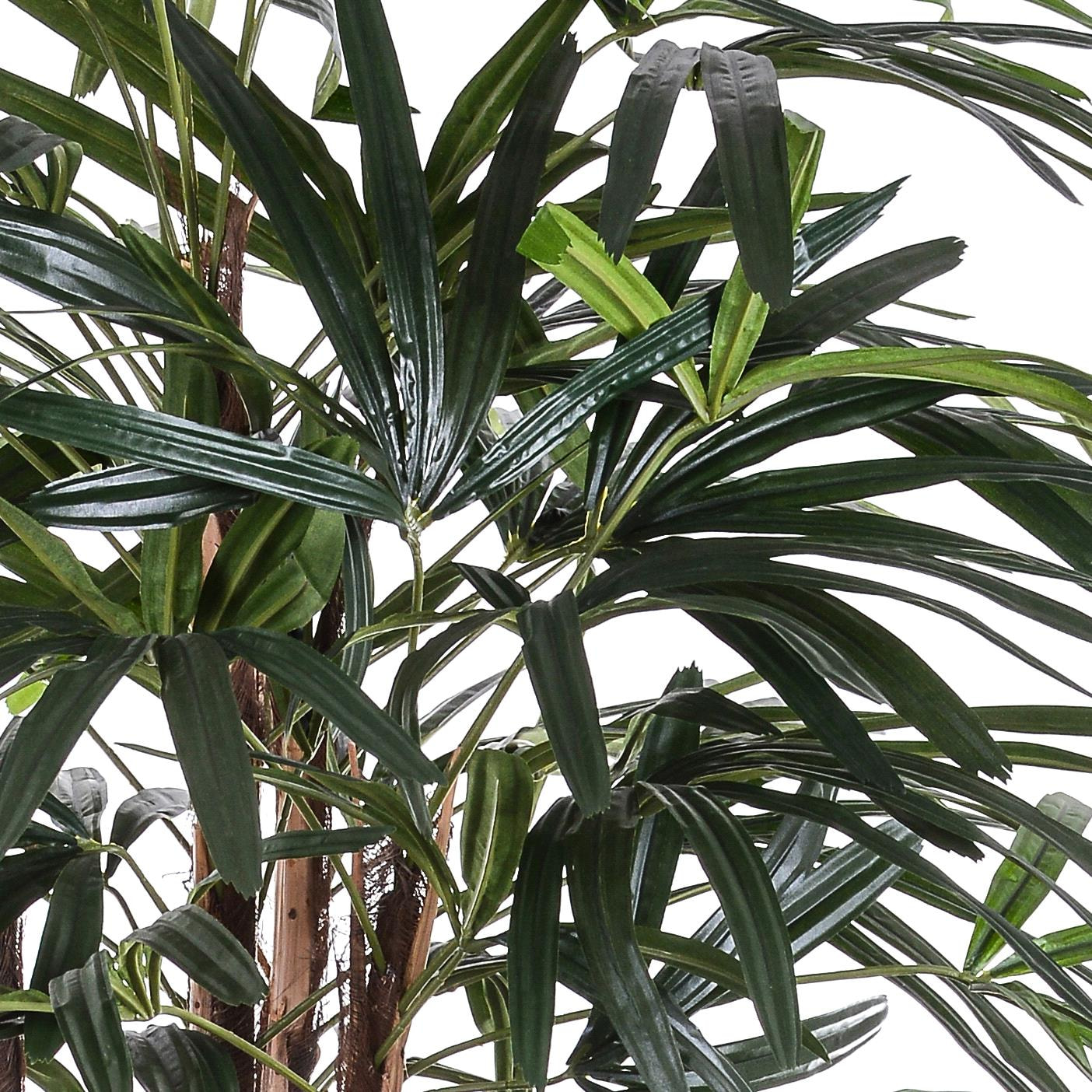 Rhapis Excelsa Con Vaso. Altezza 155 Cm - Pezzi 1 - 60X155X60cm - Colore: Verde - Bianchi Dino - Piante Artificiali