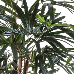 Rhapis Excelsa Con Vaso. Altezza 155 Cm - Pezzi 1 - 60X155X60cm - Colore: Verde - Bianchi Dino - Piante Artificiali