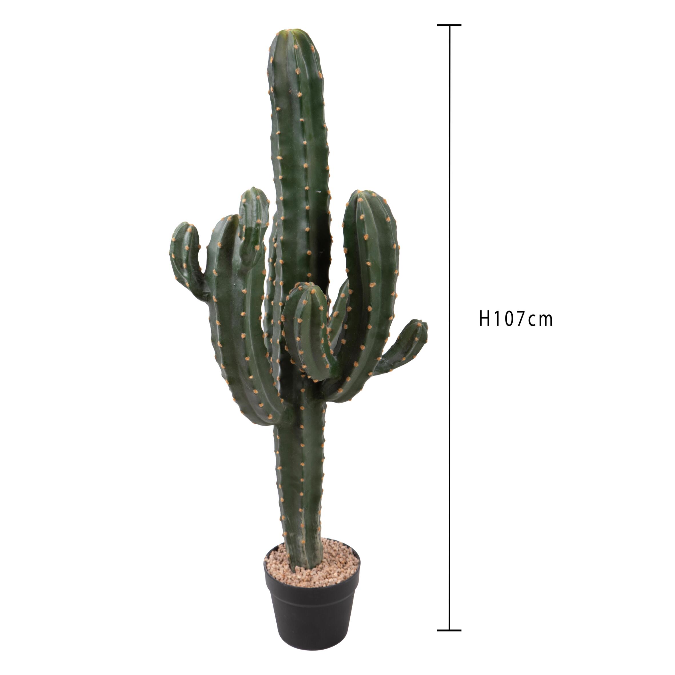 Cactus cereus con vaso - Pezzi 1 - Colore: Verde - Bianchi Dino
