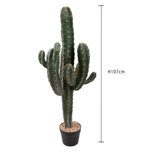 Cactus cereus con vaso - Pezzi 1 - Colore: Verde - Bianchi Dino
