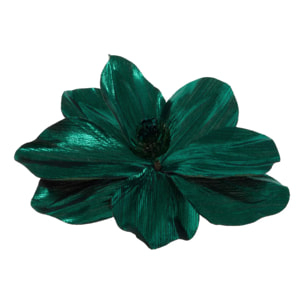 SDN MAGNOLIA BRILL VRT 23CM