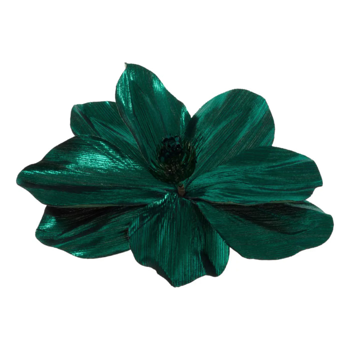 SDN MAGNOLIA BRILL VRT 23CM
