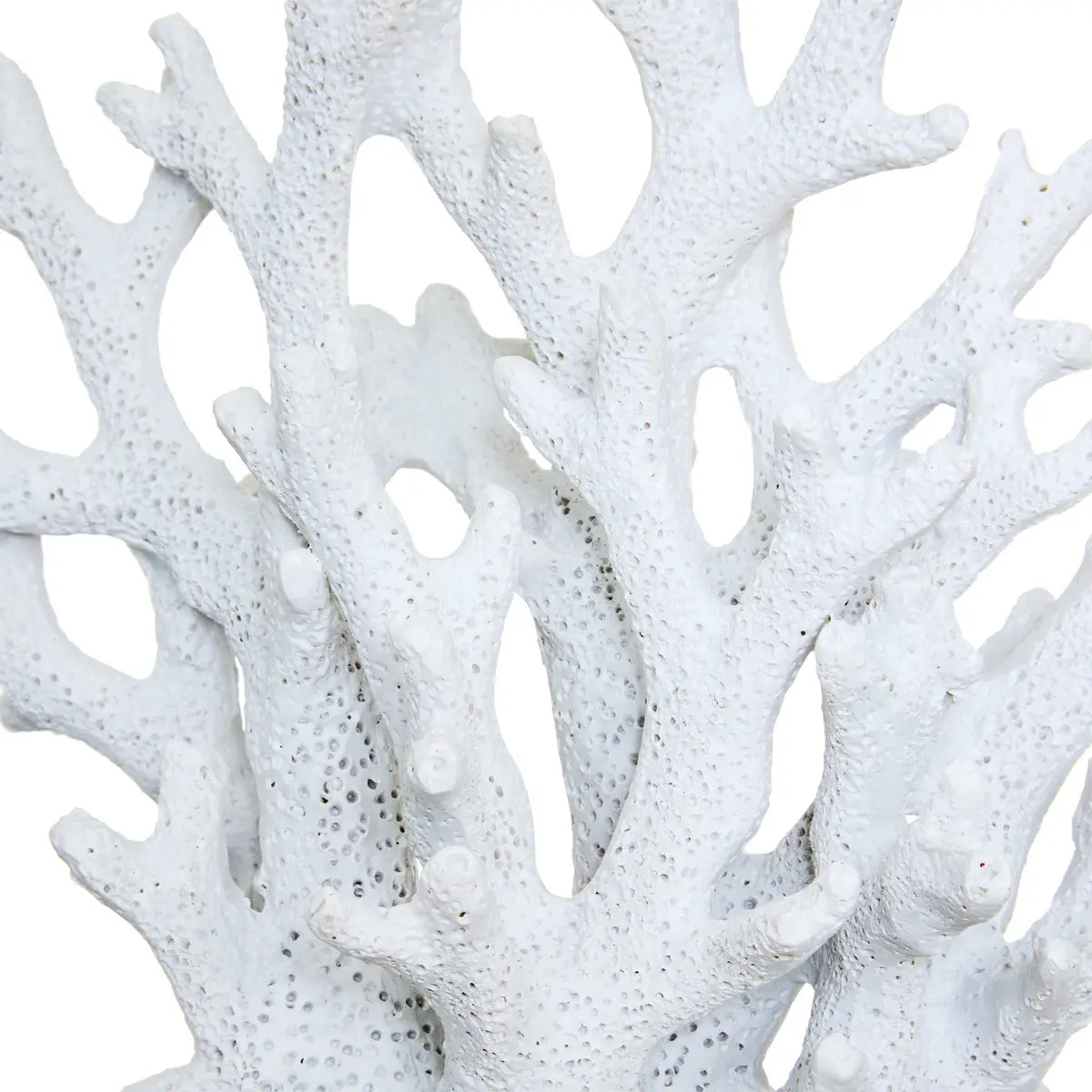 Objet déco corail Ocea 17x8,5x17cm