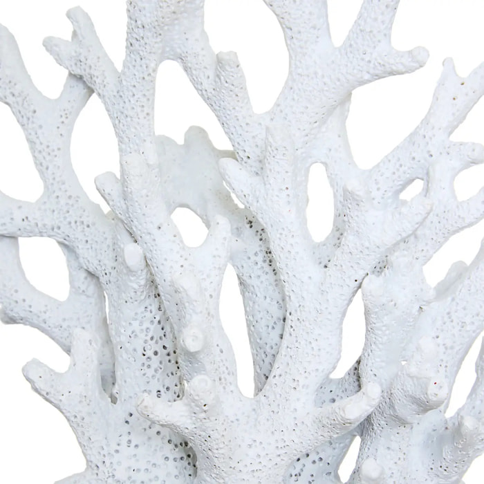 Objet déco corail Ocea 17x8,5x17cm