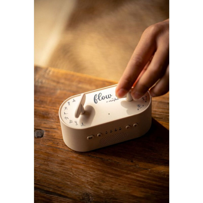Box audio sport MORPHEE FLOW