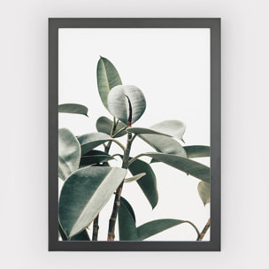 Poster Green plant