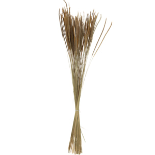 J-Line fleur artificielle Bouquet Pennisetum Seché - rotin - naturel
