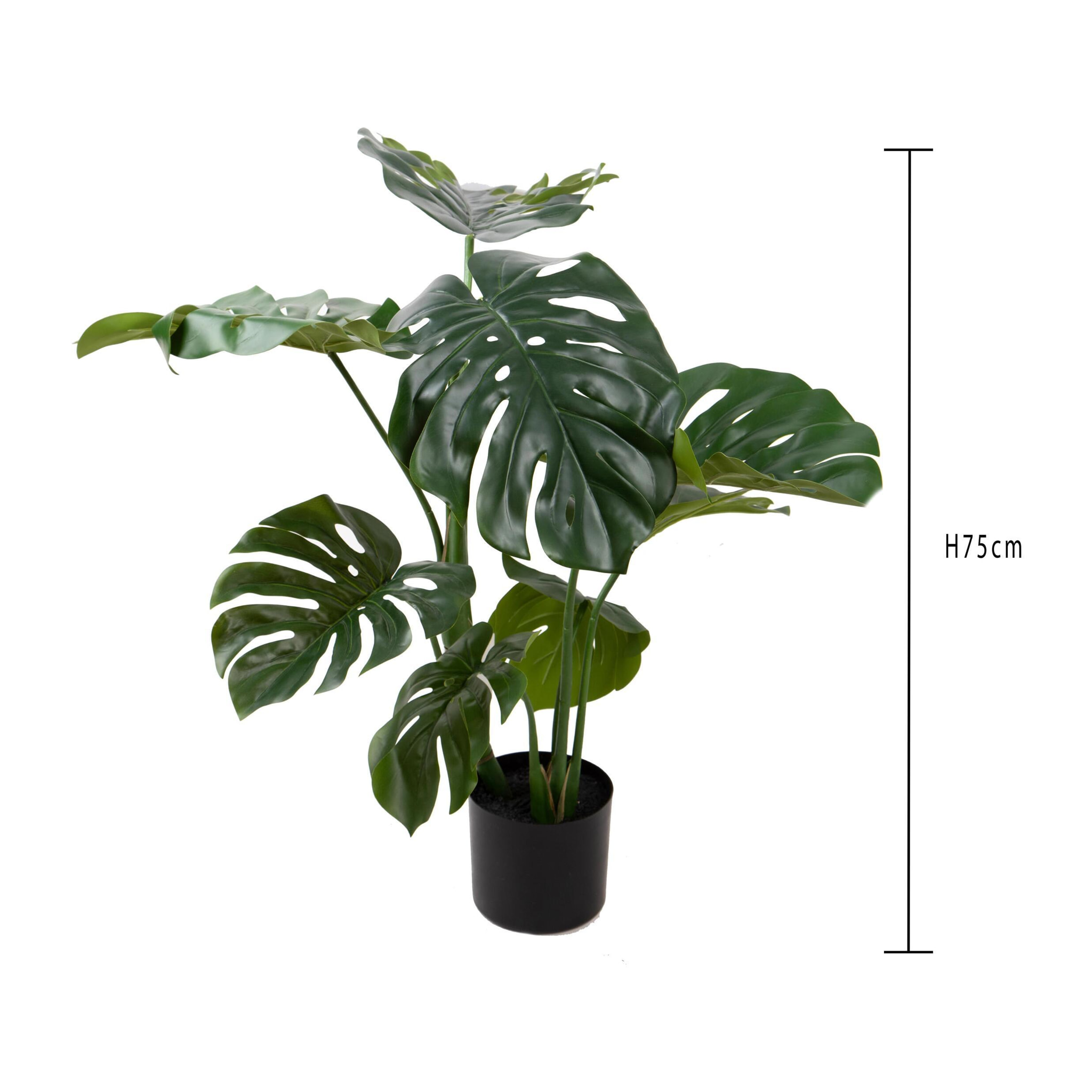 Monstera real touch - Pezzi 1 - Colore: Verde - Bianchi Dino