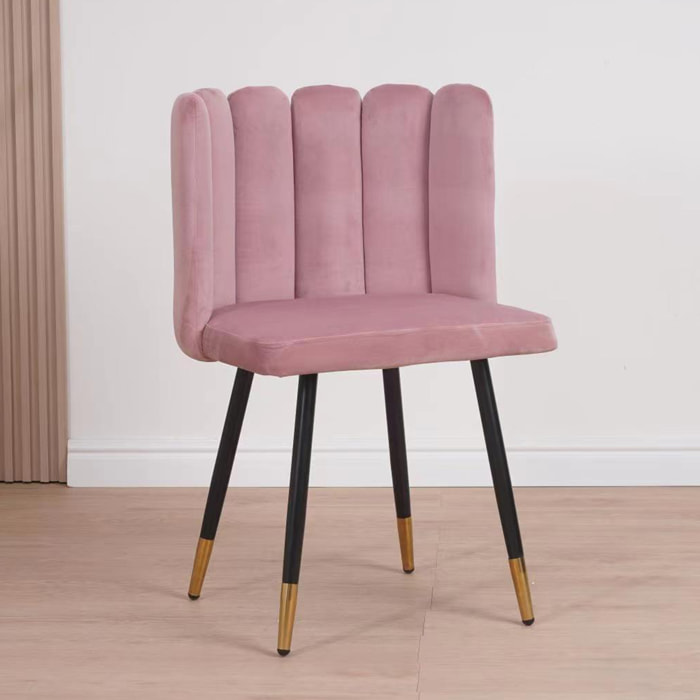 Set da 2 pz, Sedia, Frida, Velluto, Cipria, gambe nere con dettaglio oro, perfetta per living,soggiorni, stanze da letto e locali.