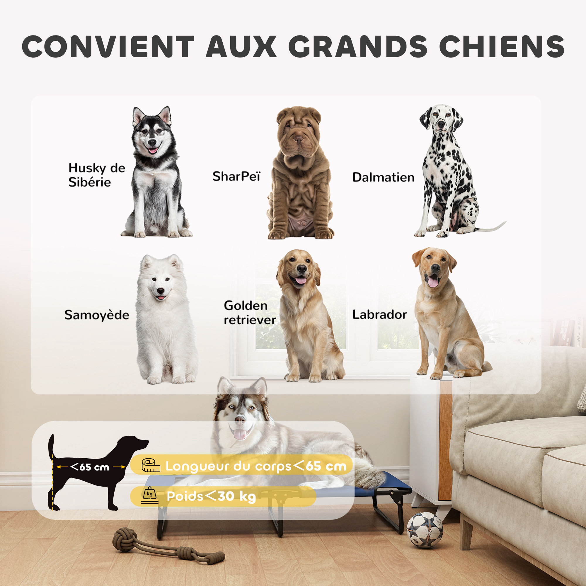 Transat pour animaux pliable - lit pour chien - lit à pieds pour chien dim. 107 x 61 x 20 cm - bleu