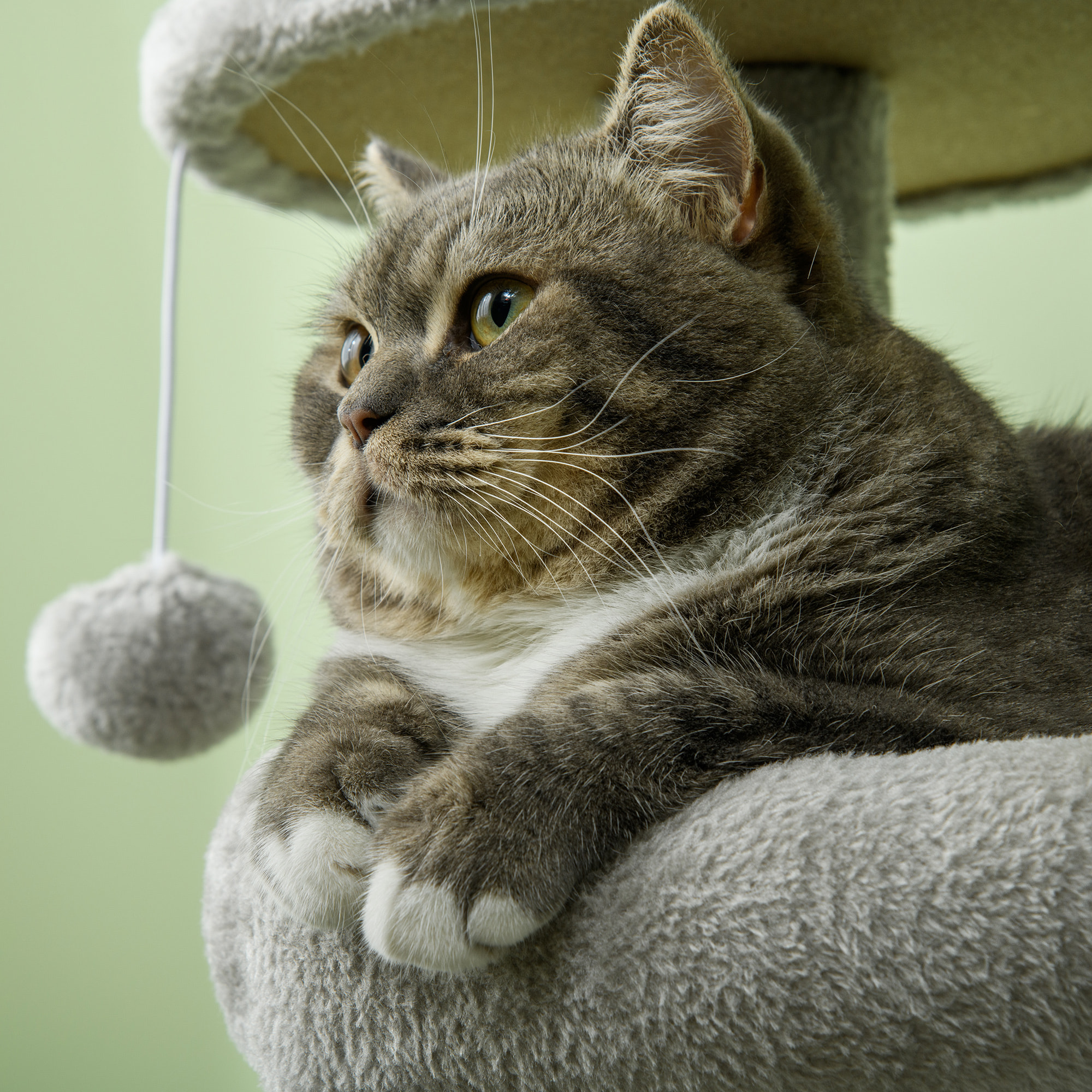 Rascador para Gatos Altura 104 cm Árbol para Gatos Torre de Escalada con Postes Rascadores de Sisal Cueva Plataformas y Bolas Colgantes Gris Claro