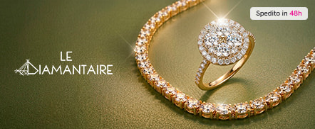 Le Diamantaire