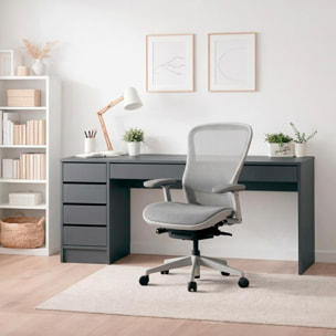Scrivania moderna con 4 cassetti 1 cassettone centrale Scrittoio da Studio o Ufficio Mobile Desk 120 x 75 x 55 cm antracite