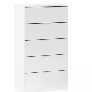 Cómoda de 5 cajones formato vertical en blanco mate 60x110 cm Akari Blanco Artik (Blanco Mate)