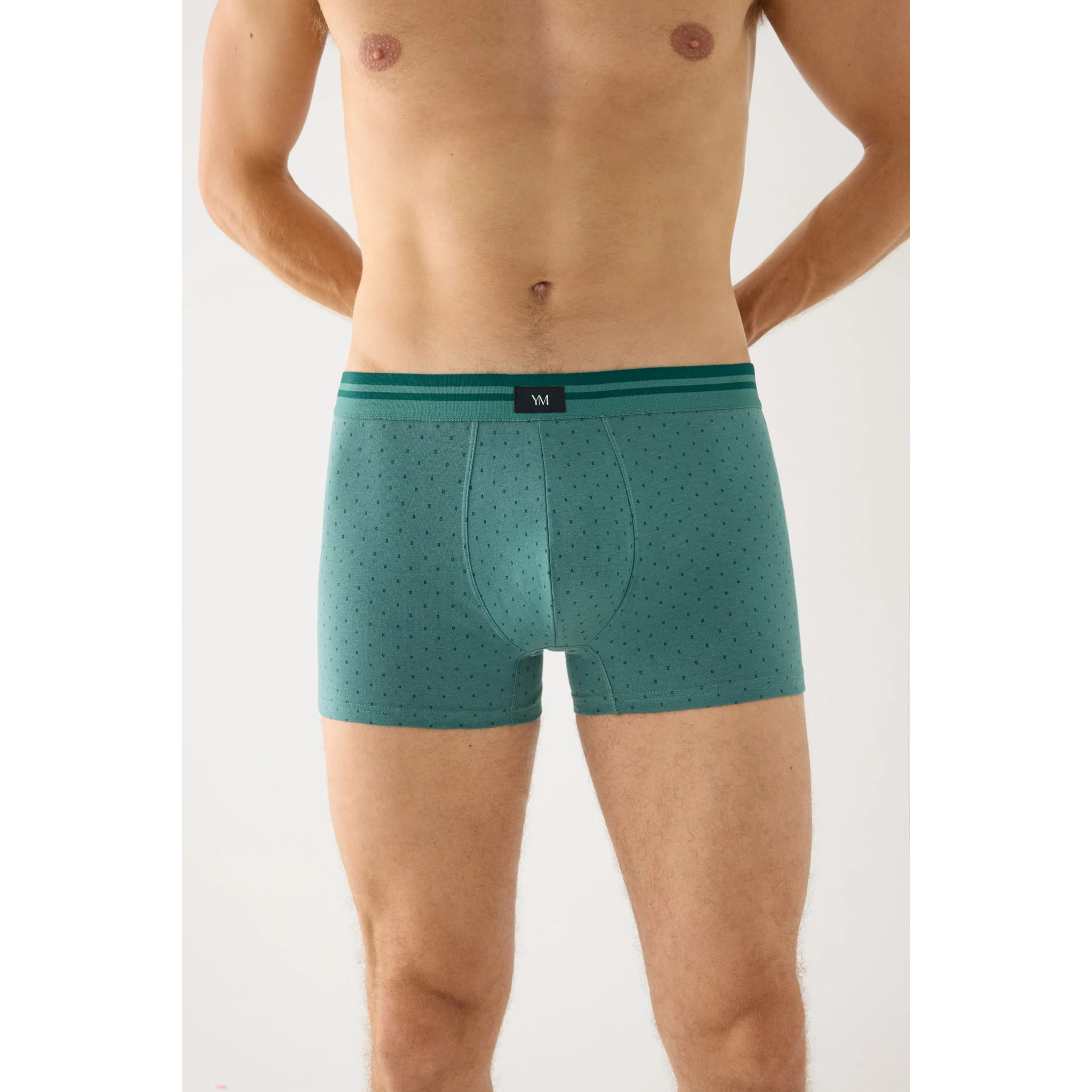 Boxer