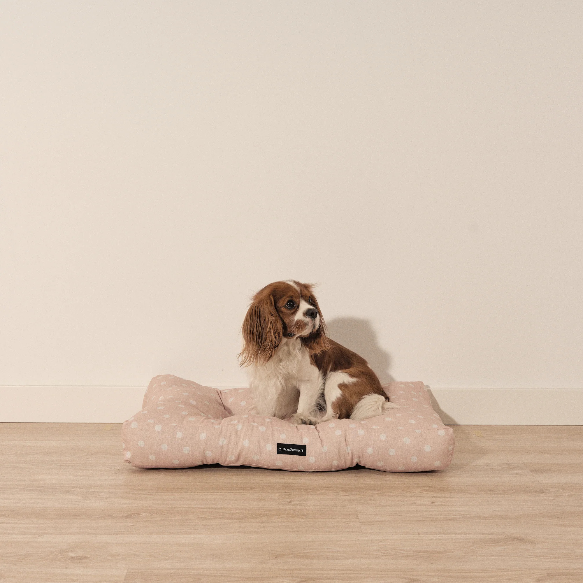 Lit épais et rembourré pour chiens et chats, 100 % coton anti-taches, pour animaux 0120-179