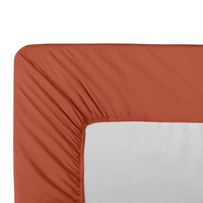 Drap housse b46 percale de coton 90 fils/cm² uni Olana rouille