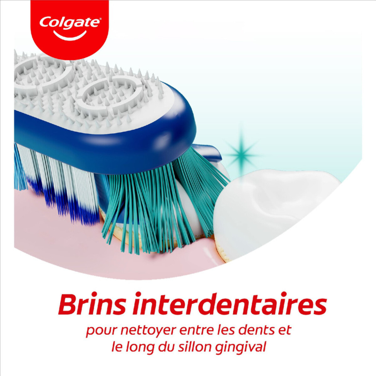 Pack de 12 - Brosses à dents Colgate Deep clean Medium