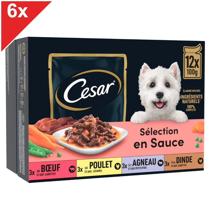 CESAR 72 Sachets fraîcheur en sauce 4 variétés pour chien 100g (6x12)