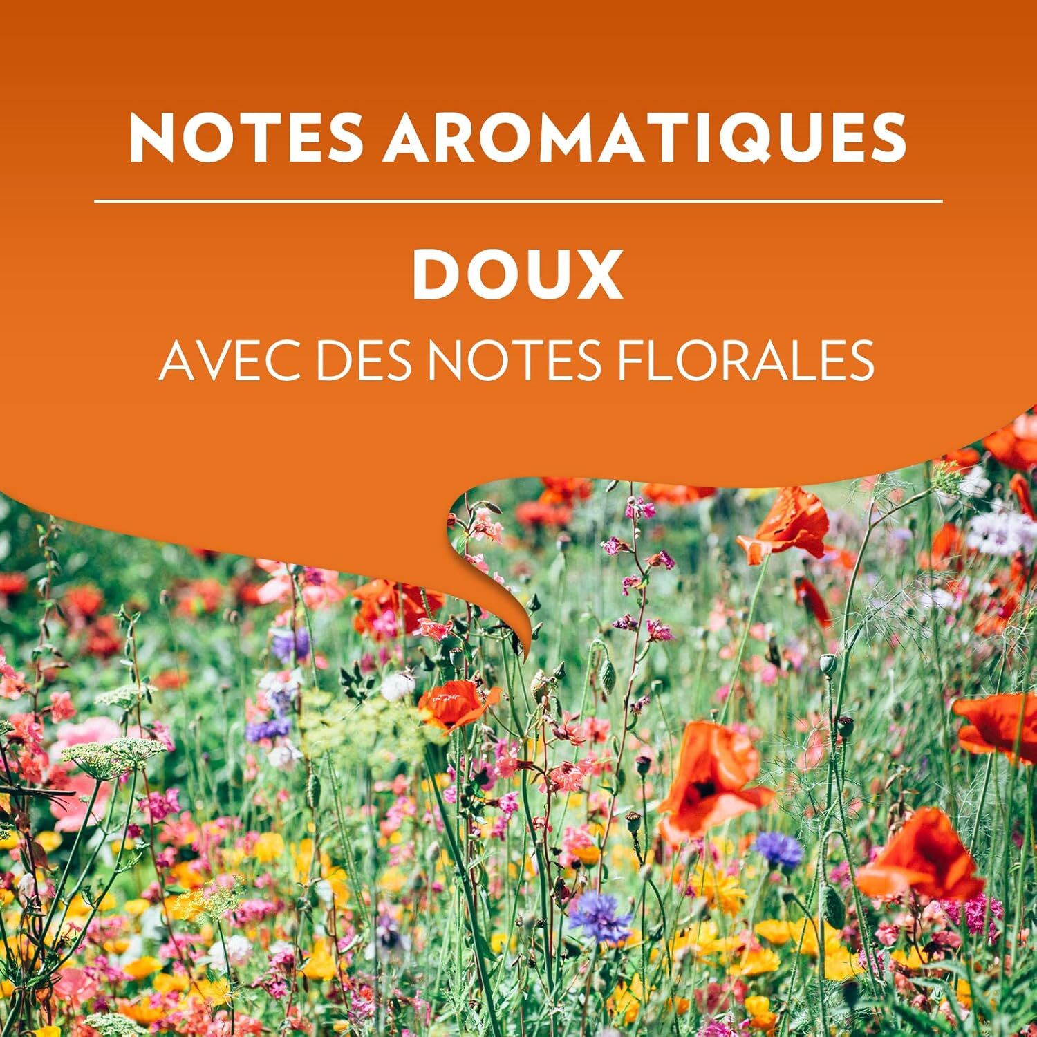 A Modo Mio Delizioso x180