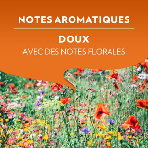 A Modo Mio Delizioso x180