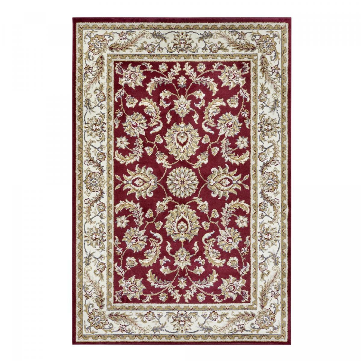 Tapis salon Rectangulaire Oriental