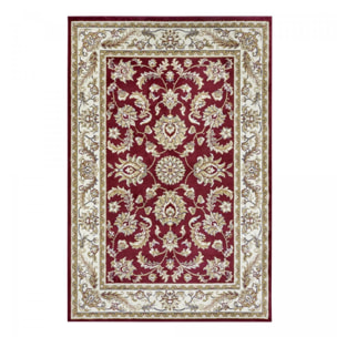 Tapis salon Rectangulaire Oriental