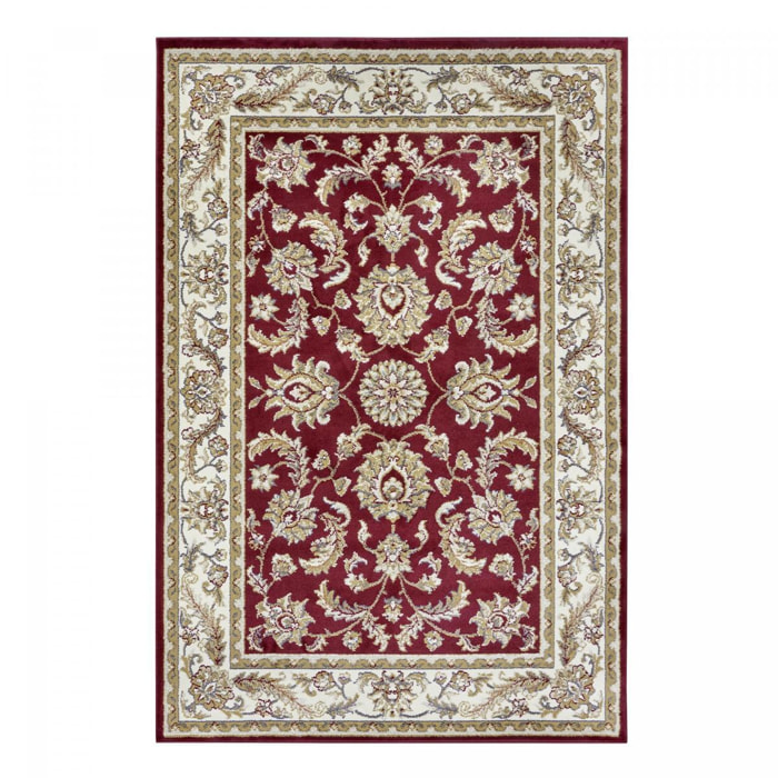 Tapis salon Rectangulaire Oriental