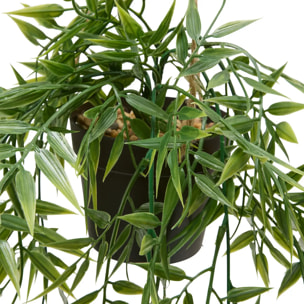 Plante artificiellle suspendue Liora 10x10cm