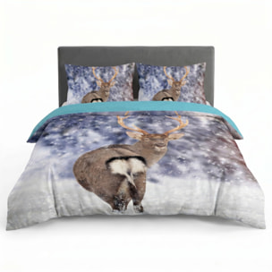 Parure Copripiumino in 100% Cotone con Federe Coordinate, Morbida e Traspirante, Certificata OEKO-TEX, Fantasie Moderne per Camera da Letto
