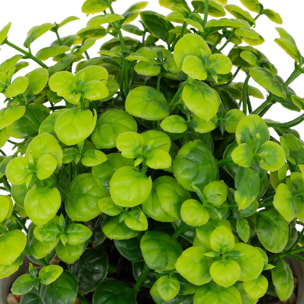 Plante artificielle "Dusty" H16cm