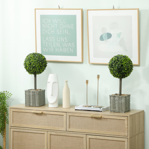 Lot de 2 plantes artificielles 50H cm en plastique vert