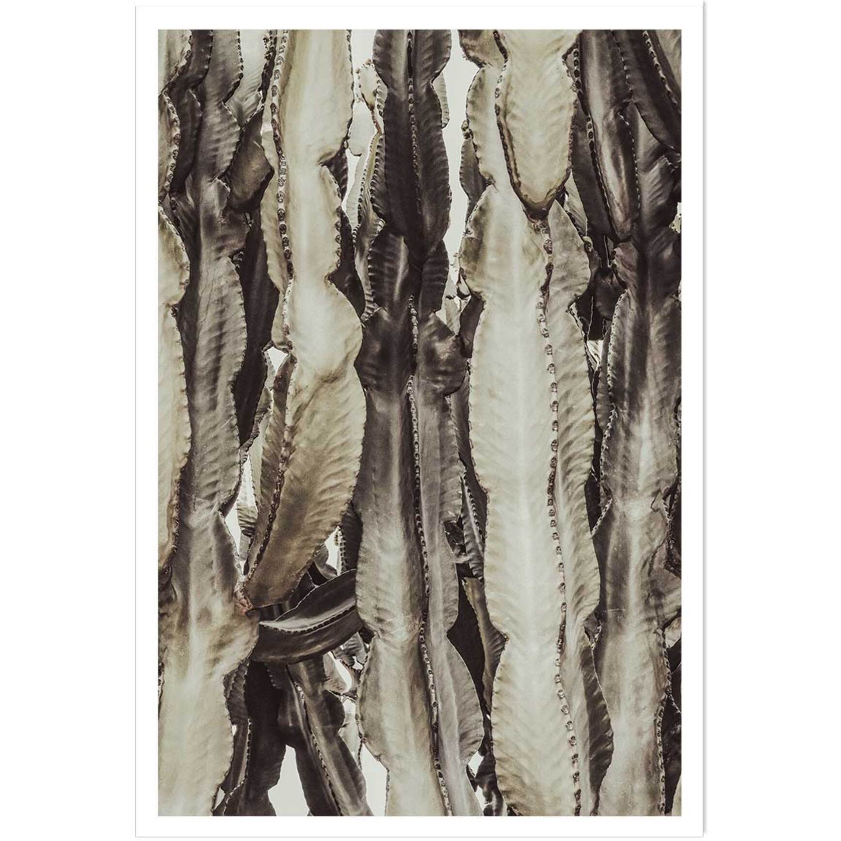 Poster cactus mood Affiche seule