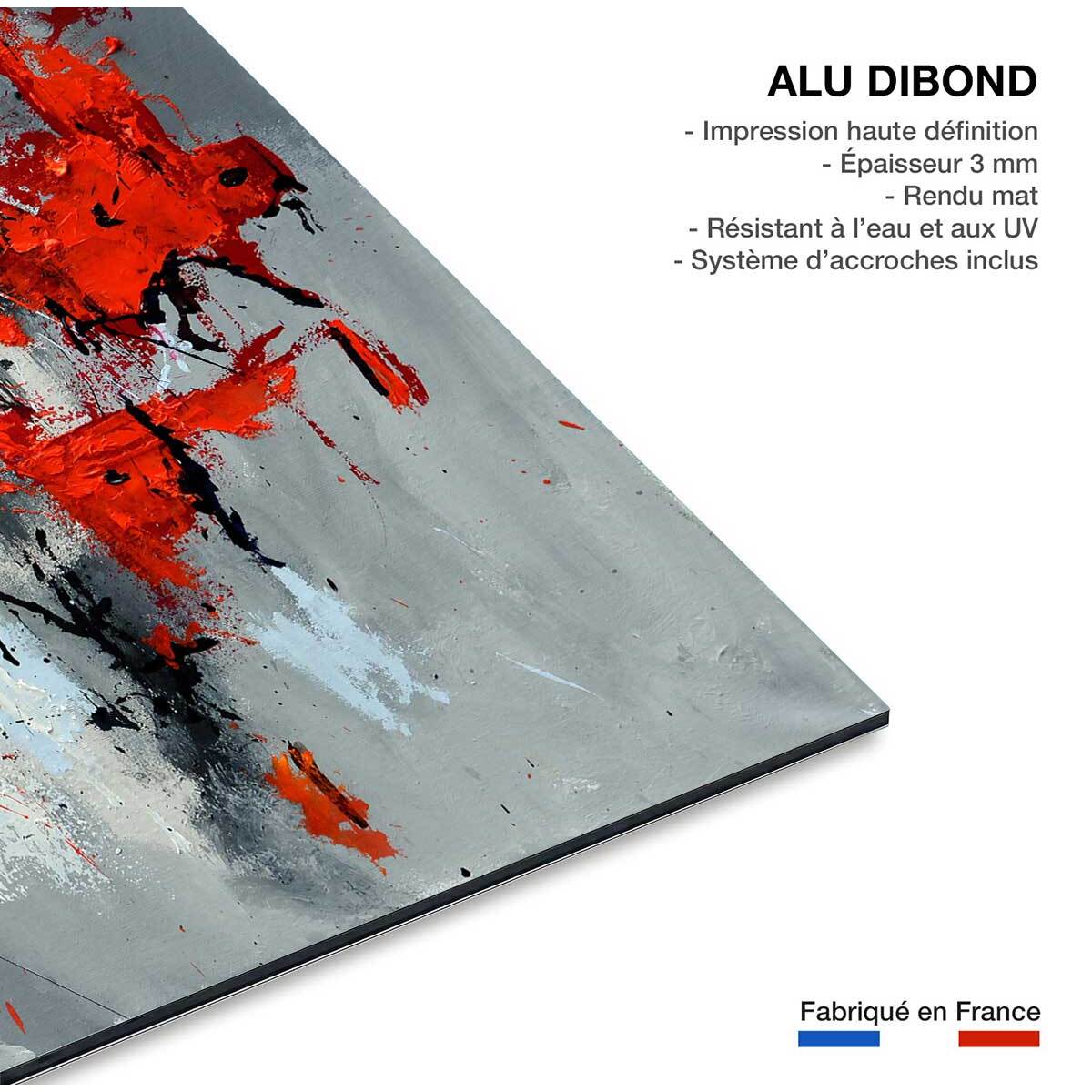Tableau abstrait moderne coquelicots Tableau alu Dibond