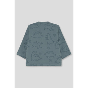 Camiseta niño azul verdoso de manga larga, estampado de dinosaurios y botón a presión en el hombro | Color: Azul verdoso | Street Monkey