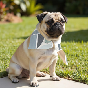 Pack de 2 bandanas pour animaux Peñíscola