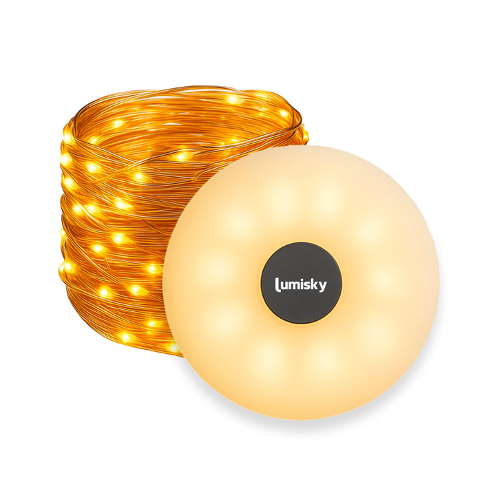 Guirlande lumineuse portable ROLY 10 M