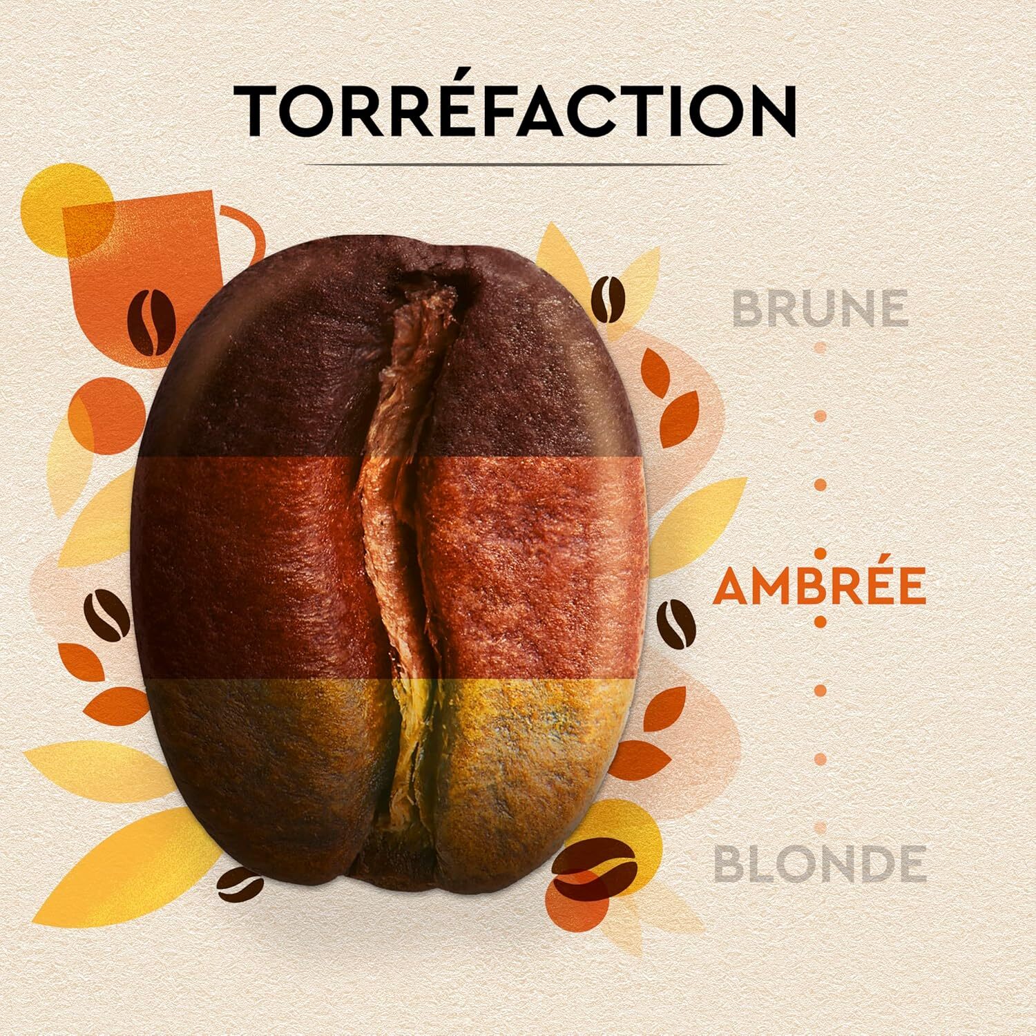 Carte Noire Grains Petit Déjeuner 1kg