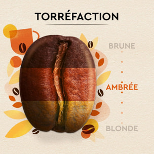 Carte Noire Grains Petit Déjeuner 1kg