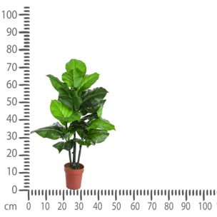 Pothos In Vaso Con 22 Foglie. Altezza 75 Cm - Pezzi 1 - 50X75X50cm - Colore: Verde - Bianchi Dino - Piante Artificiali