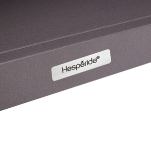 Module 2 niveaux pour cuisine d'été Oxyana gris graphite