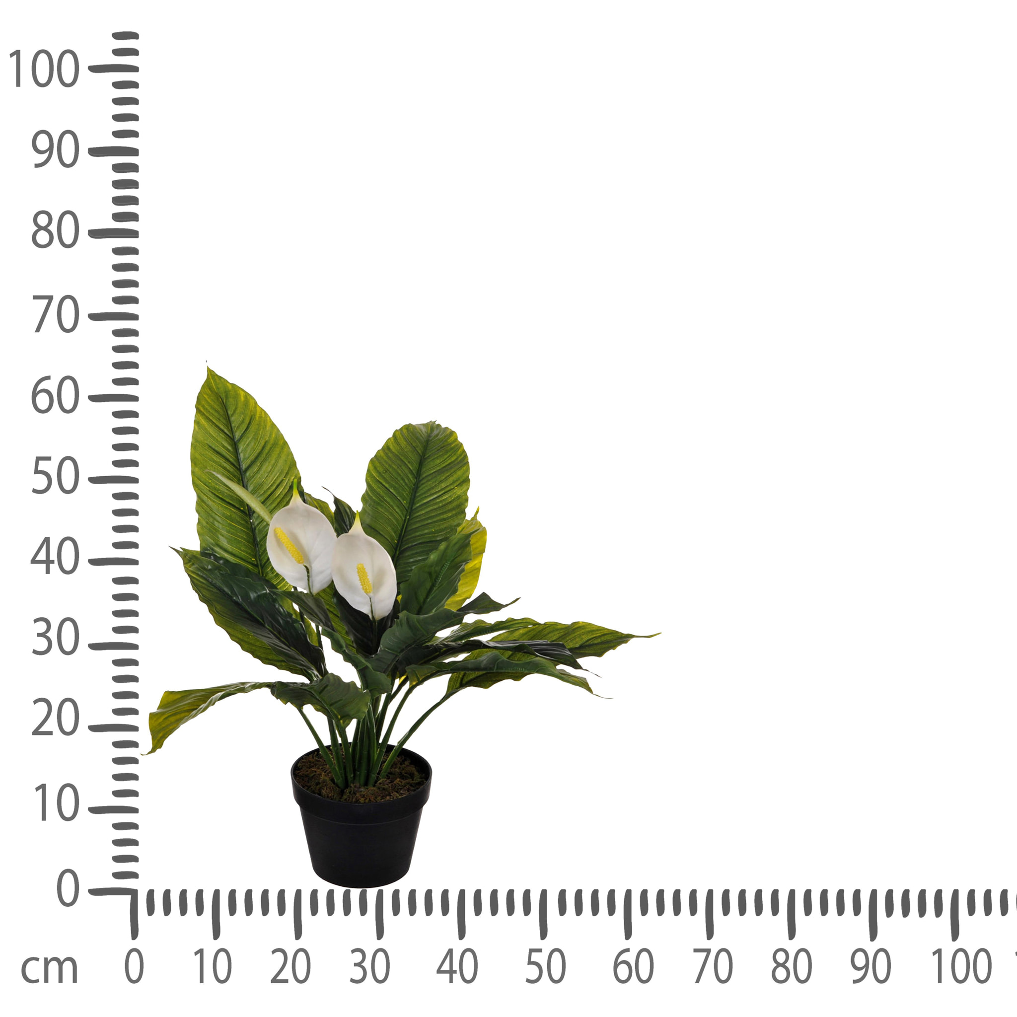 Spathipilium Con Vaso. Altezza 65 Cm - Pezzi 1 - 64X65X64cm - Colore: Verde - Bianchi Dino - Piante Artificiali