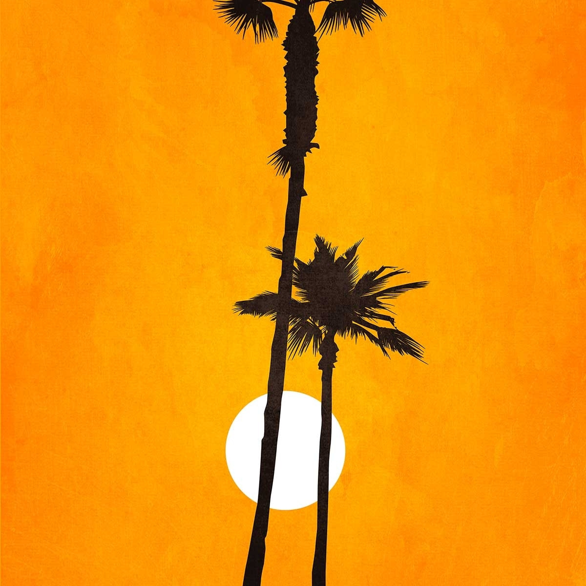 Affiche paysage Sunset palm Affiche + cadre en bois - Noir