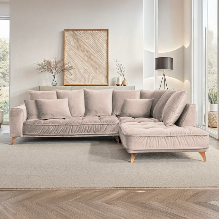 Canapé d'Angle Droit Velours Altamo, 4 Places, Housse Déhoussable, Style Scandinave