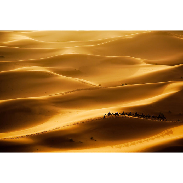 Tableau paysage le desert des nomades  Tableau plexiglas