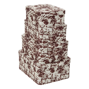 Lot de 4 boîtes Polybox rectangulaire