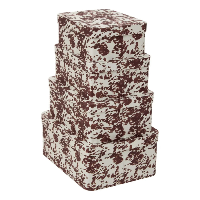 Lot de 4 boîtes Polybox rectangulaire