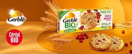 Nutrition saine au quotidien Biscuits, Repas Bio, Galettes et Snacking